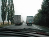 p8010005.jpg