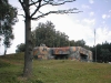 p8010014.jpg