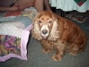 HPIM0589.JPG