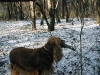 P2120010.JPG