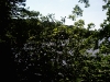 IMAGE_025.jpg