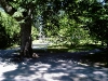IMAGE_031.jpg