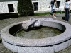 IMAGE_035.jpg