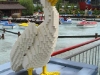 IMG_0054.JPG
