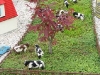 IMG_0074.JPG