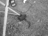 mip_image54.jpg