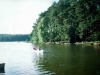 mip98_068.jpg