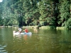 mip98_070.jpg
