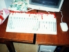 votice98_030.jpg