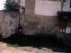 votice99spring_003.jpg
